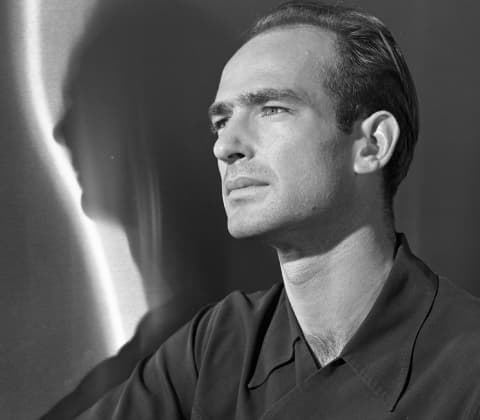 A portrait of Harry Bertoia
