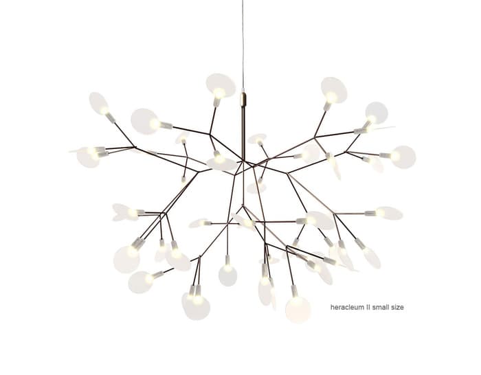 heracleum suspension light