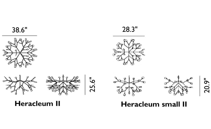 heracleum suspension light