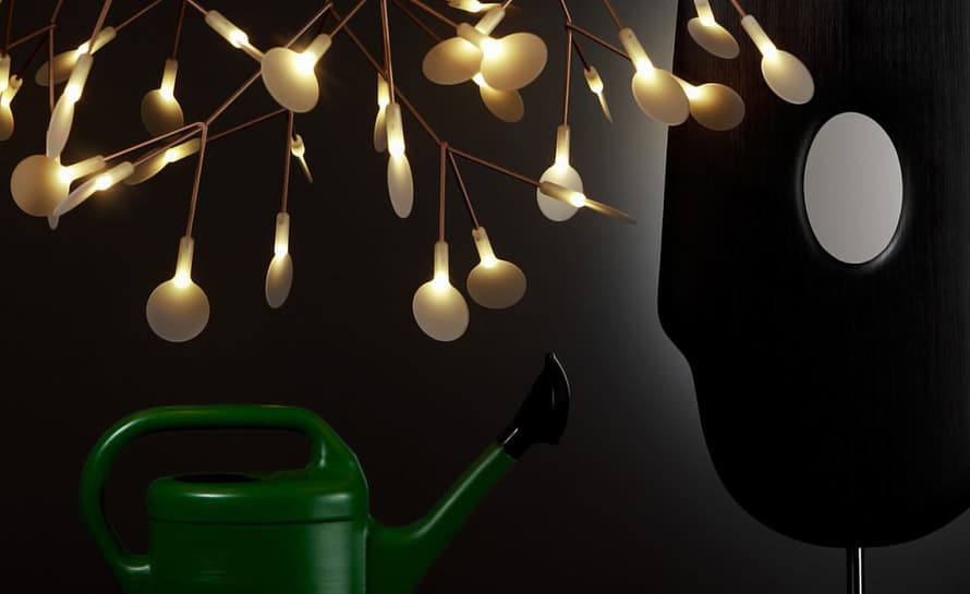 heracleum suspension light
