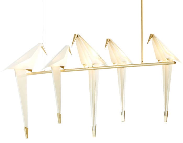perch light branch