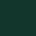 100% recycled plastic - evergreen