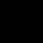 black enamel (002-FN)