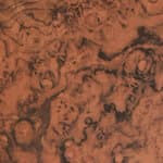 walnut burl
