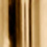 polished chrome - gold