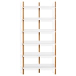 browser tall bookcase