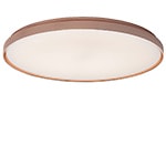 clara wall/ceiling lamp