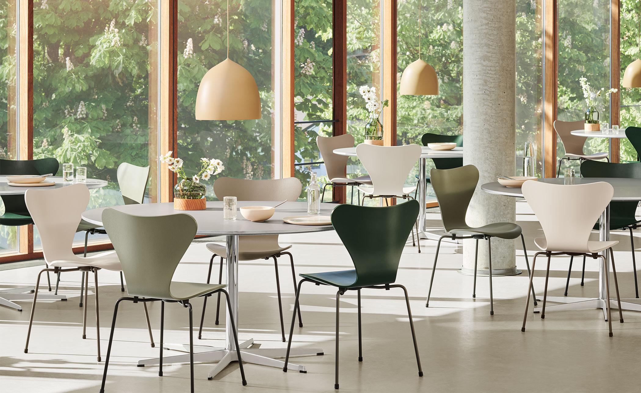 6 star circular table