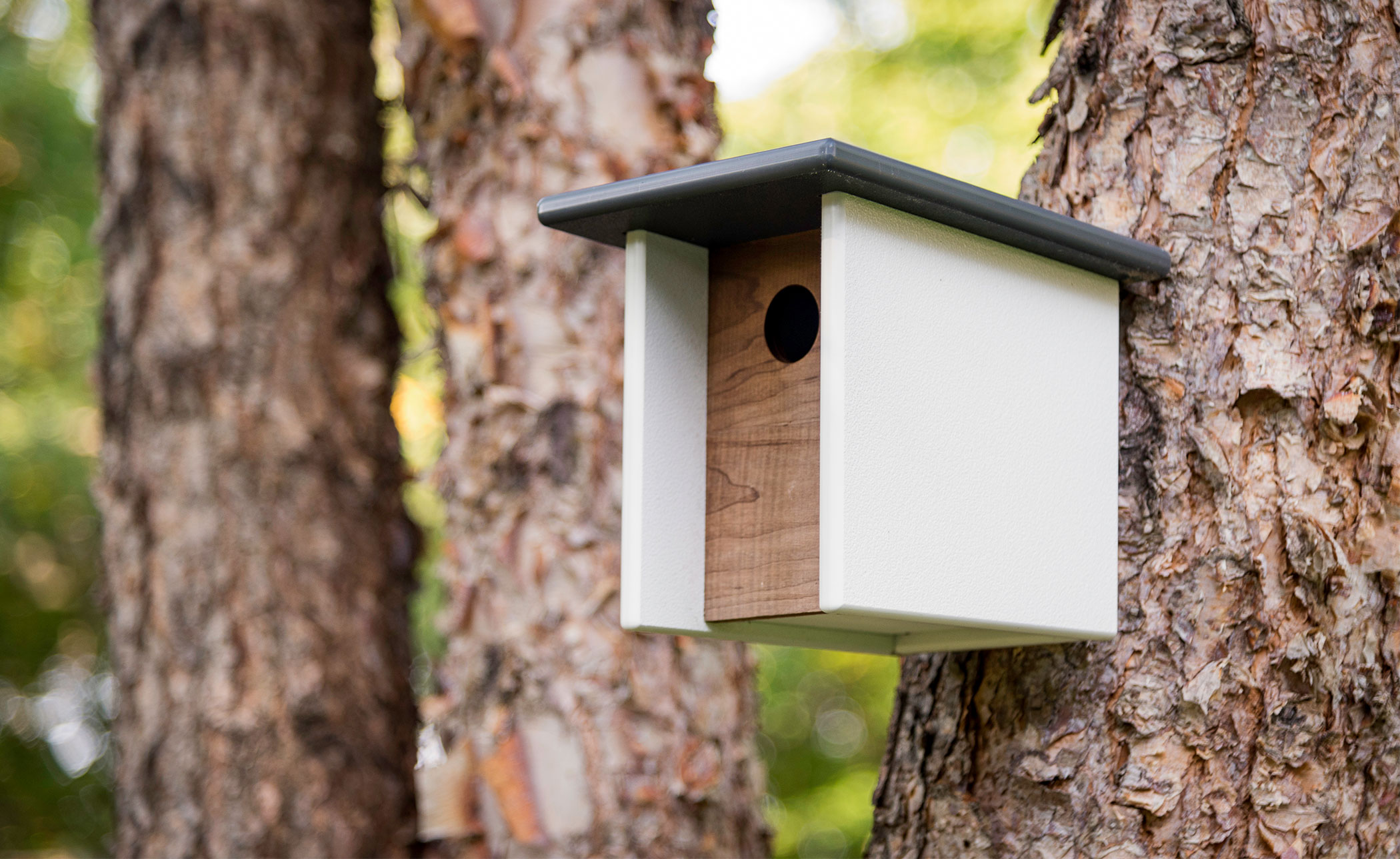 Arbor Birdhouse