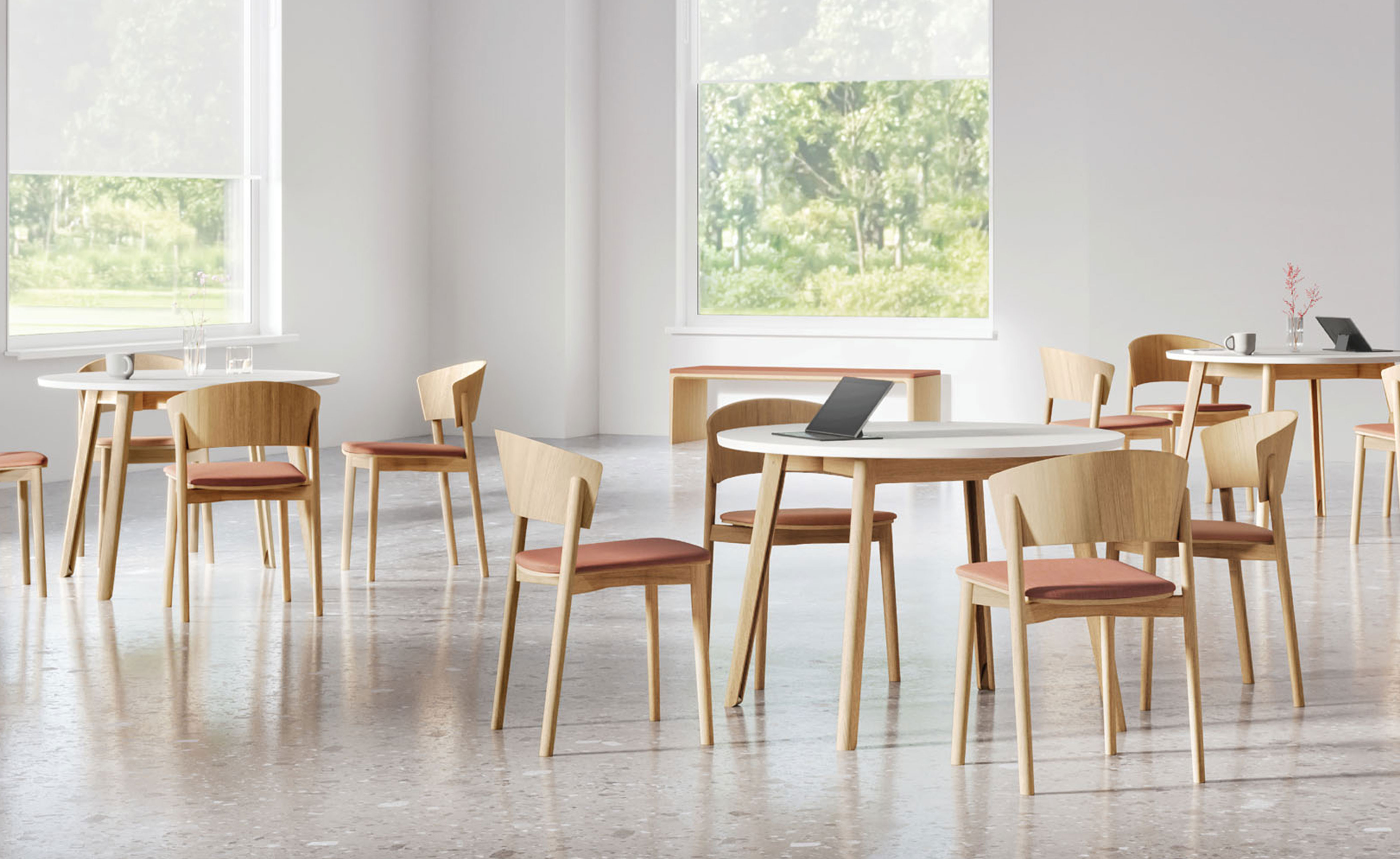 Blitz Dining Chair