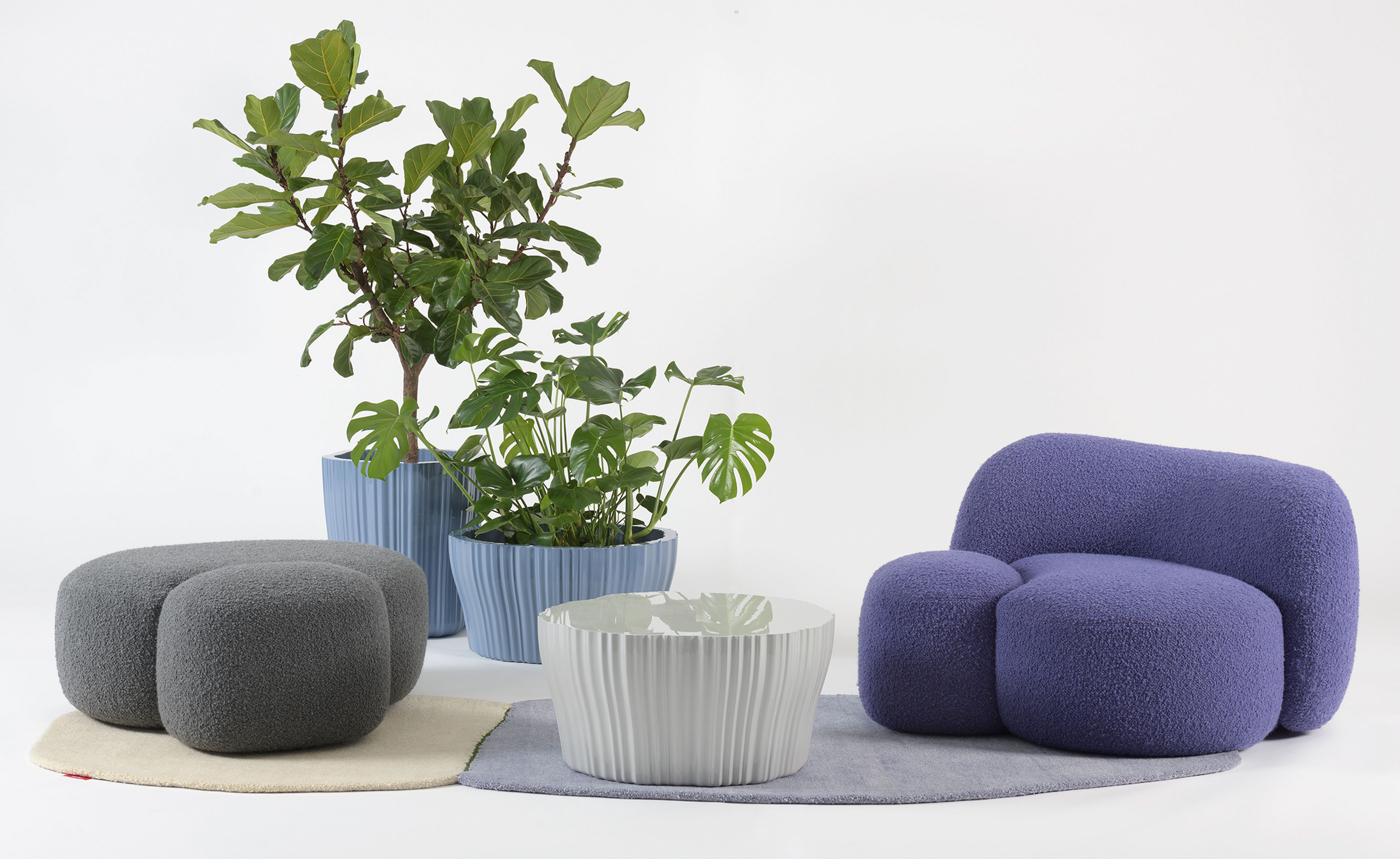Corteza Planter