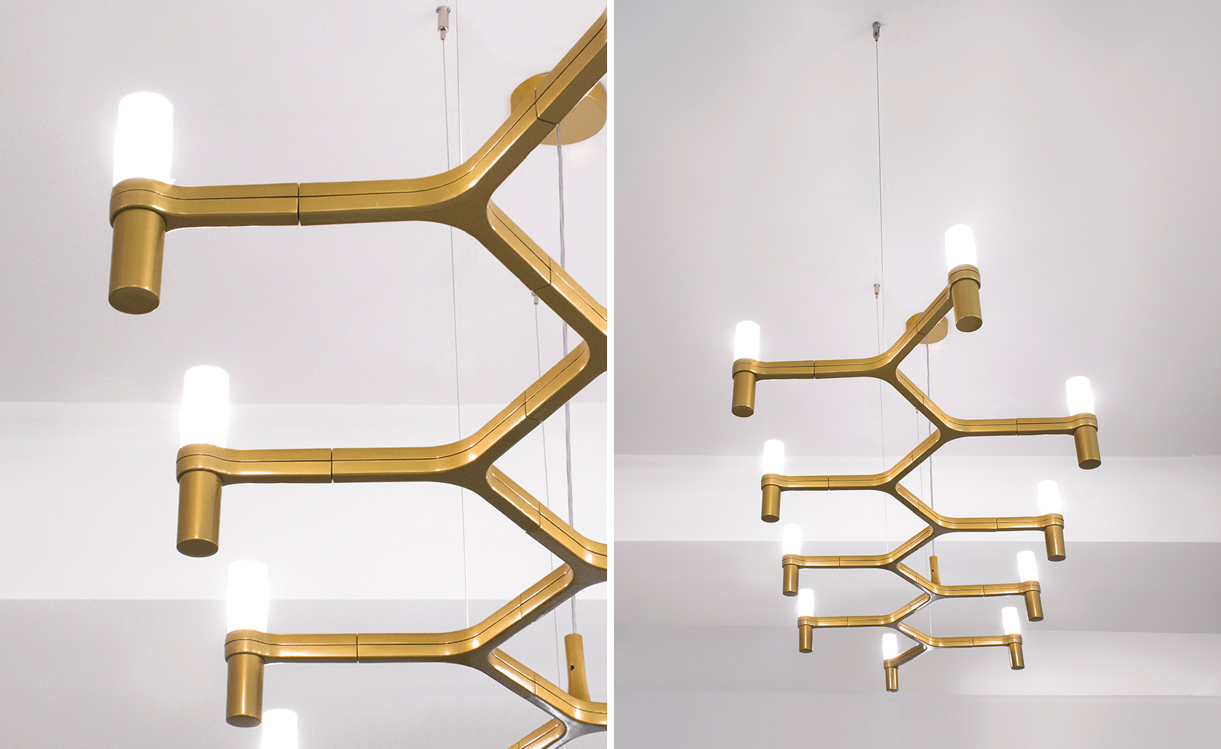 Crown Plana Linea Pendant Lamp