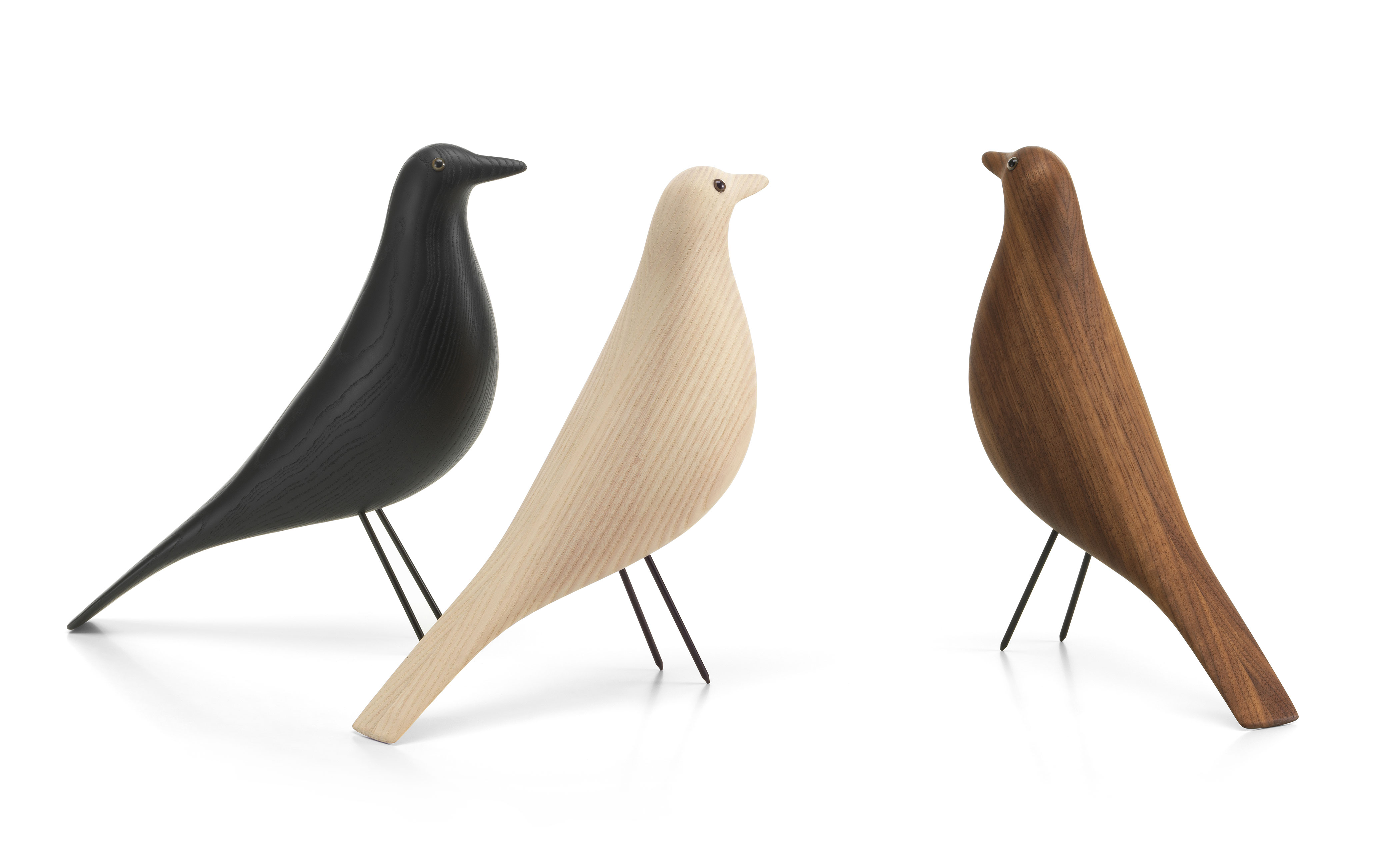 eames house bird