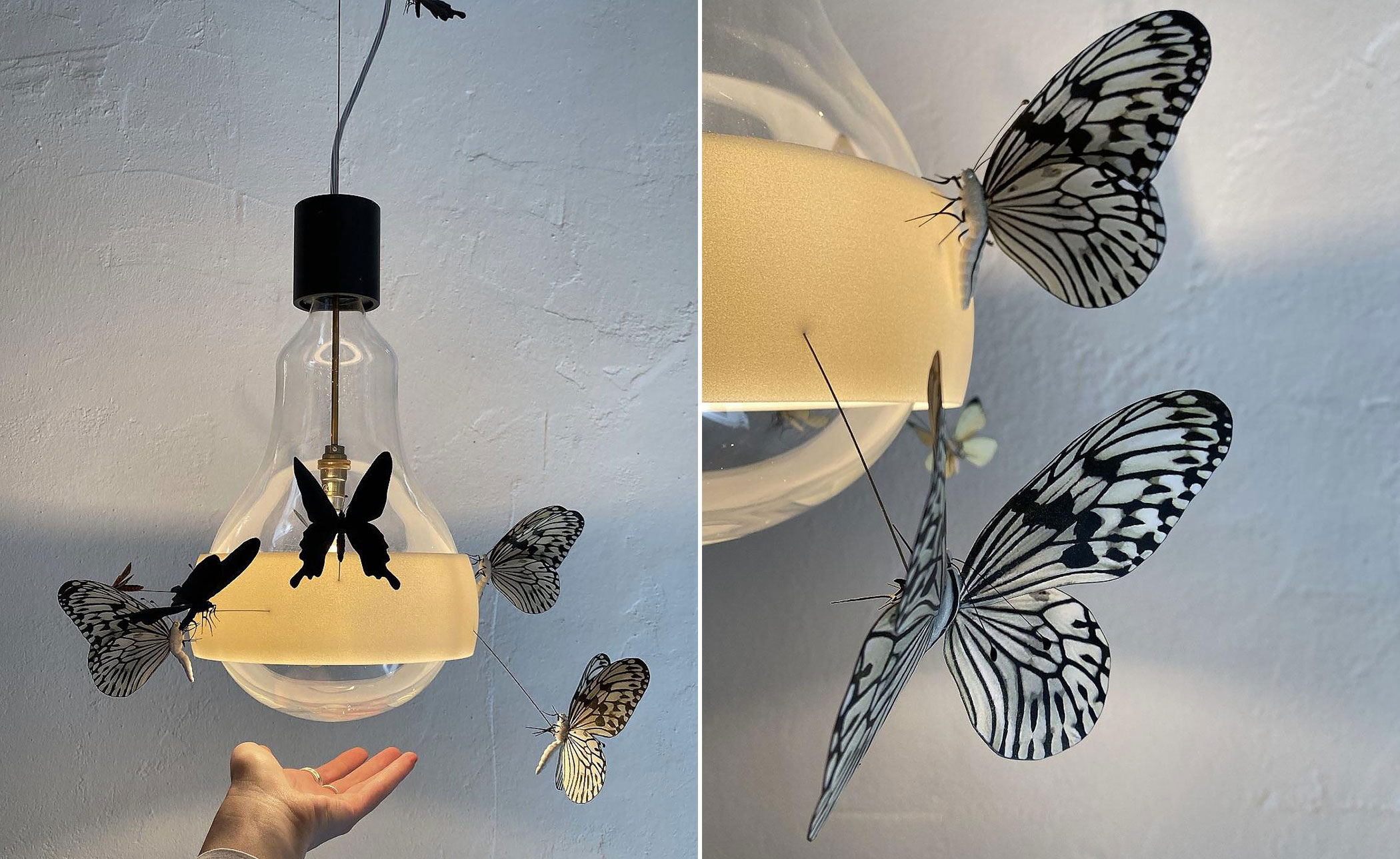 Flatterby Pendant Lamp, limited edition