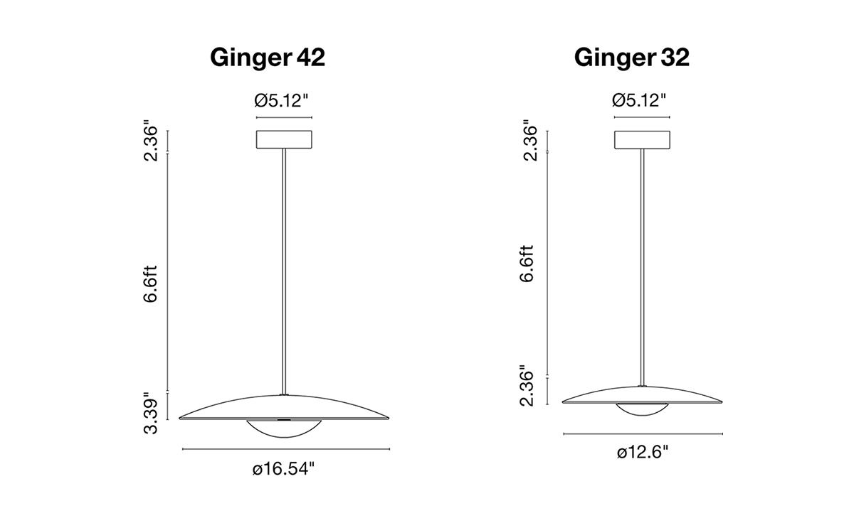 led-ginger suspension lamp
