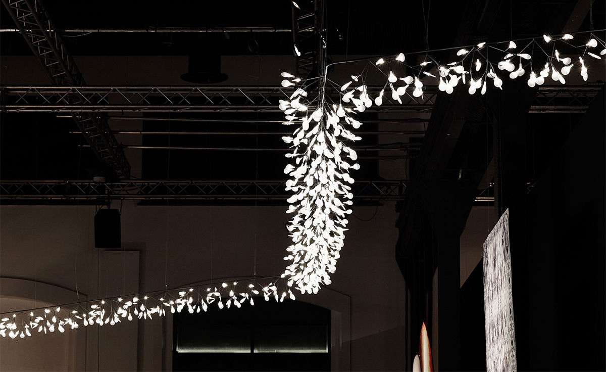 heracleum endless suspension lamp