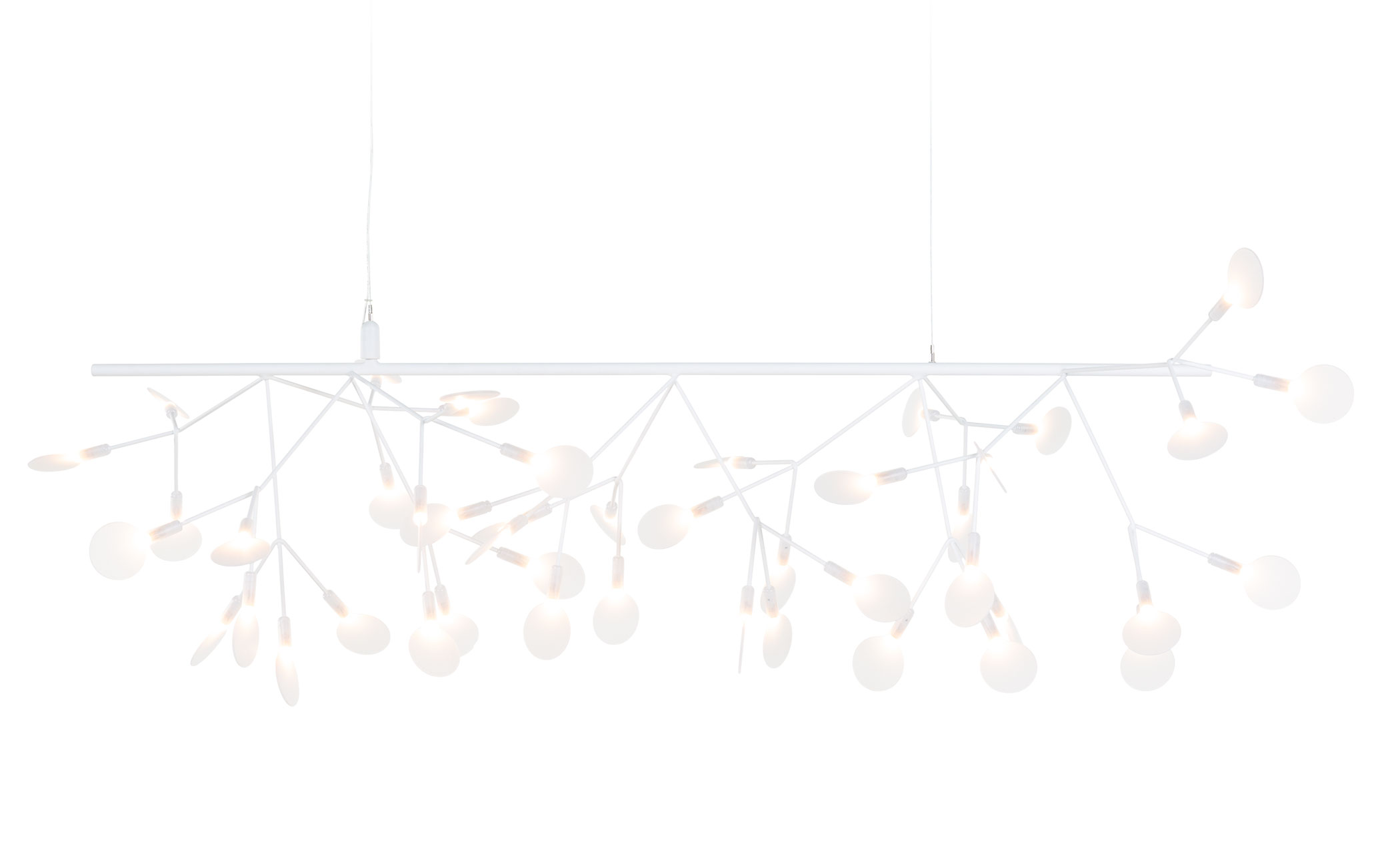 heracleum endless suspension lamp
