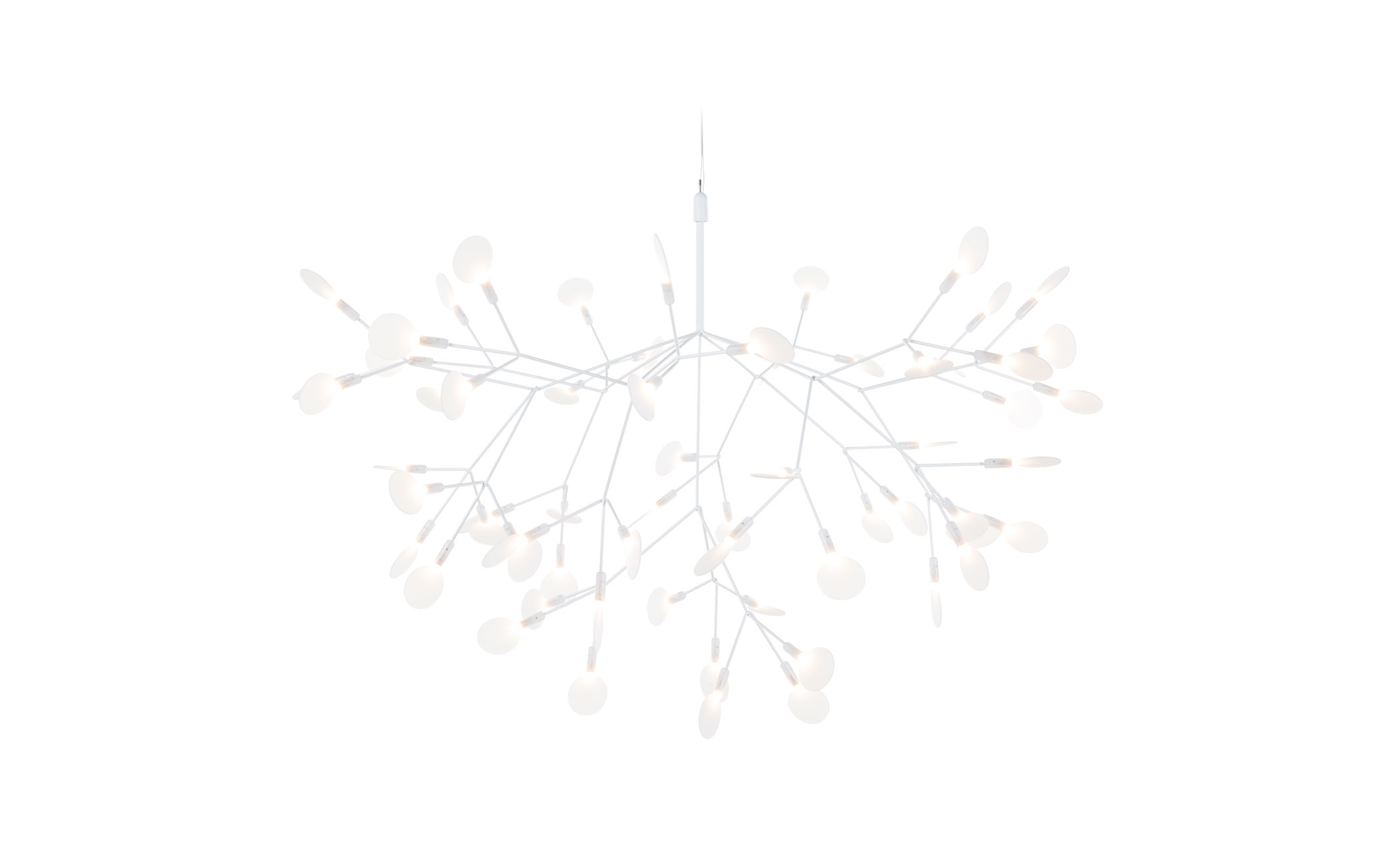 heracleum suspension light
