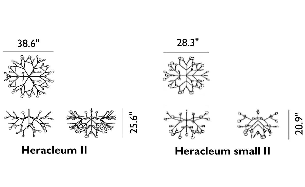 heracleum suspension light