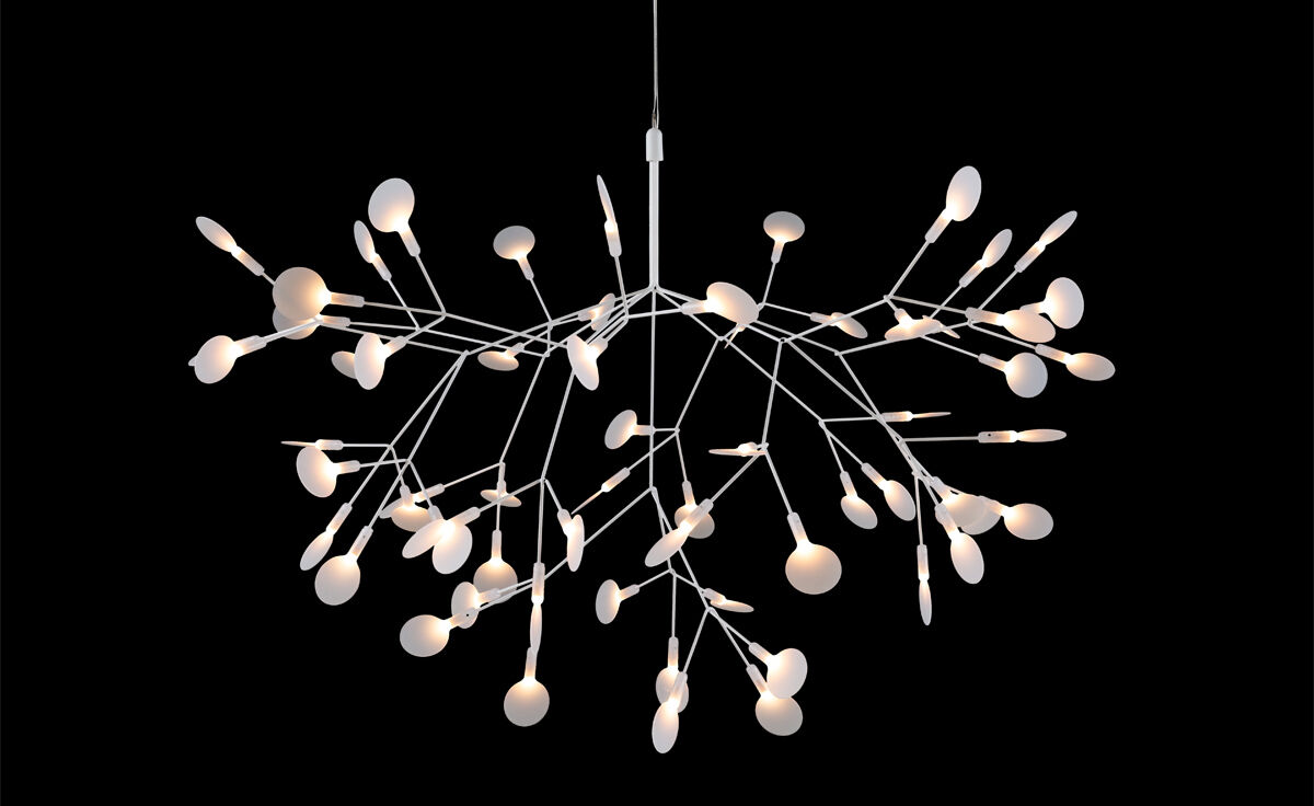 heracleum suspension light