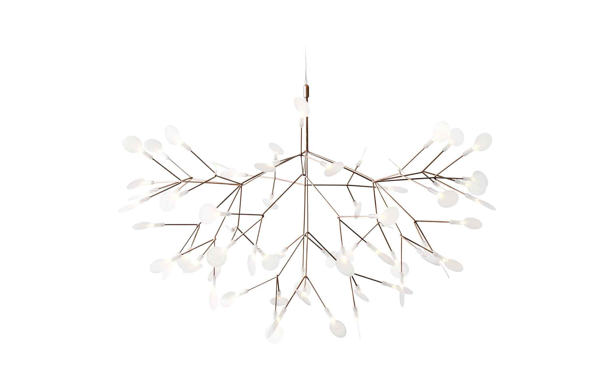 heracleum suspension light