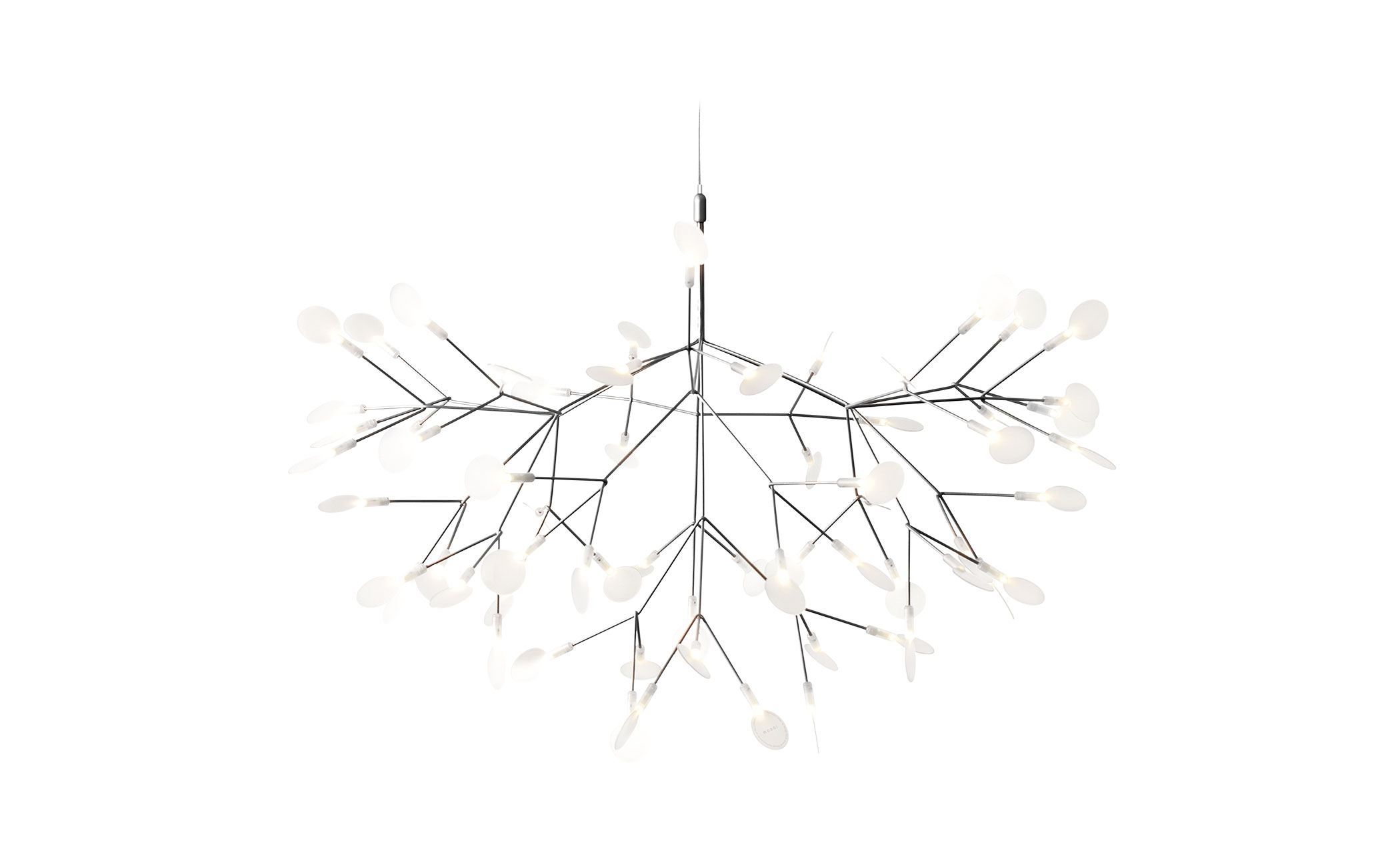 heracleum suspension light