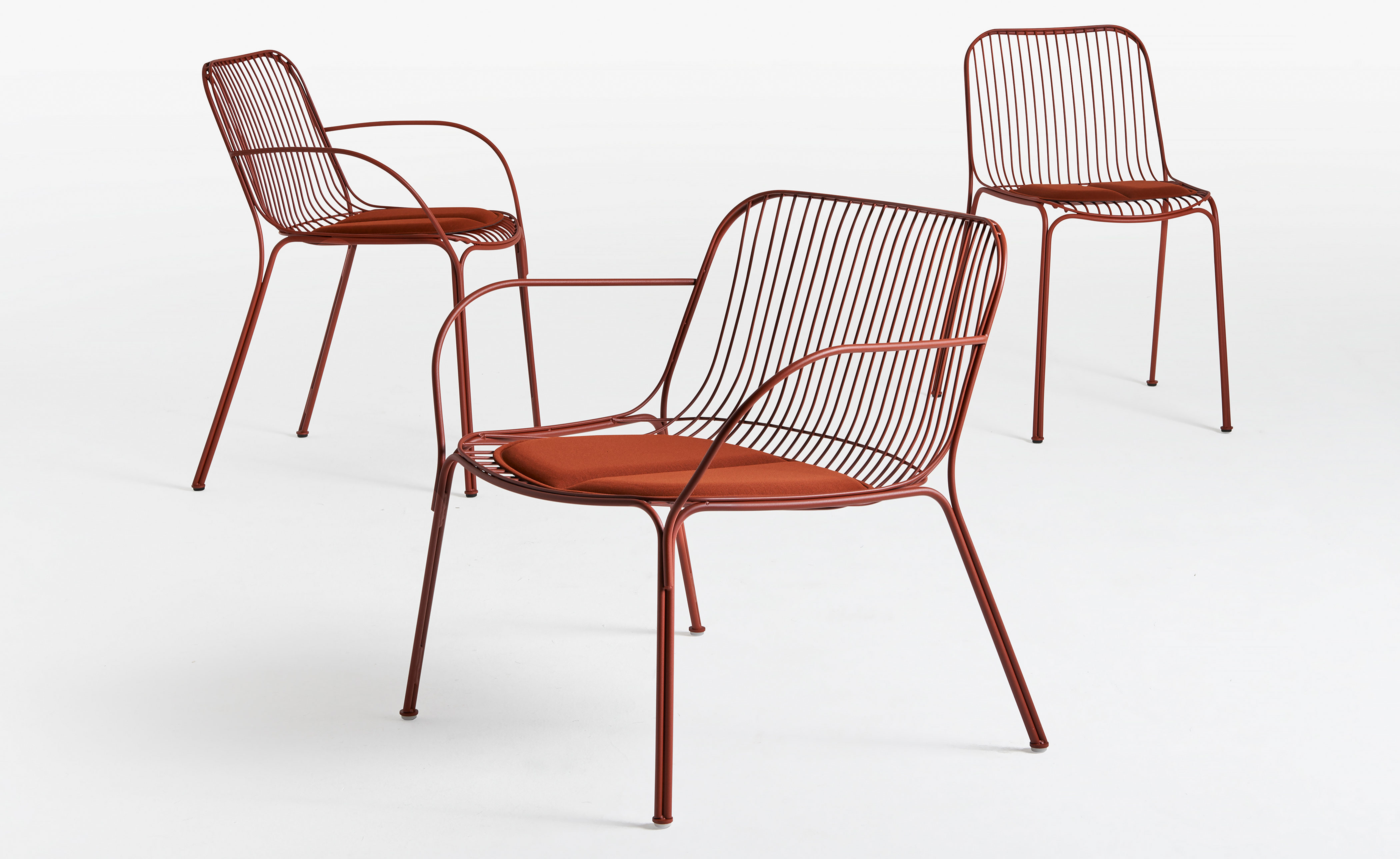 Hiray Dining Chair
