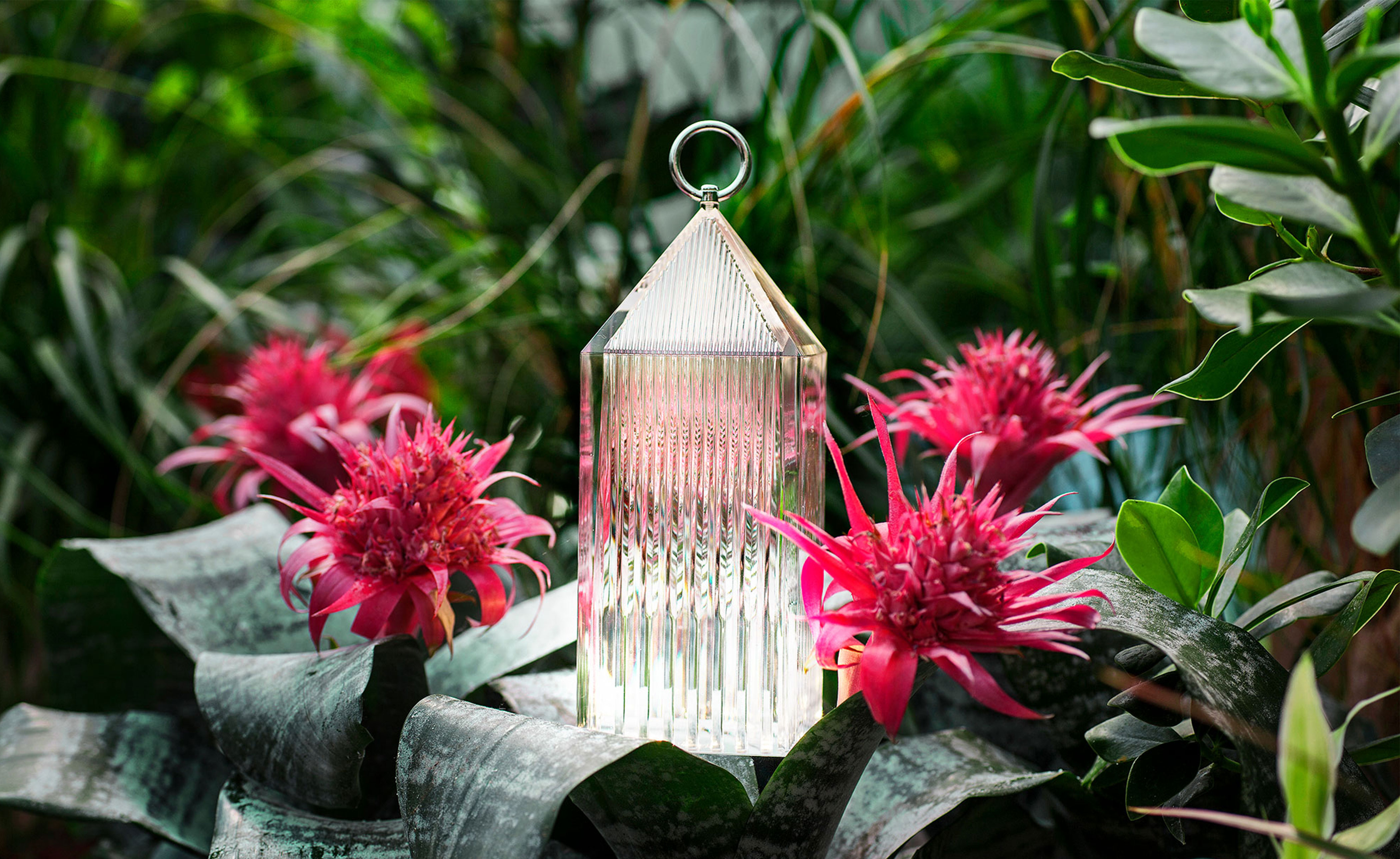 Lantern Portable Lamp