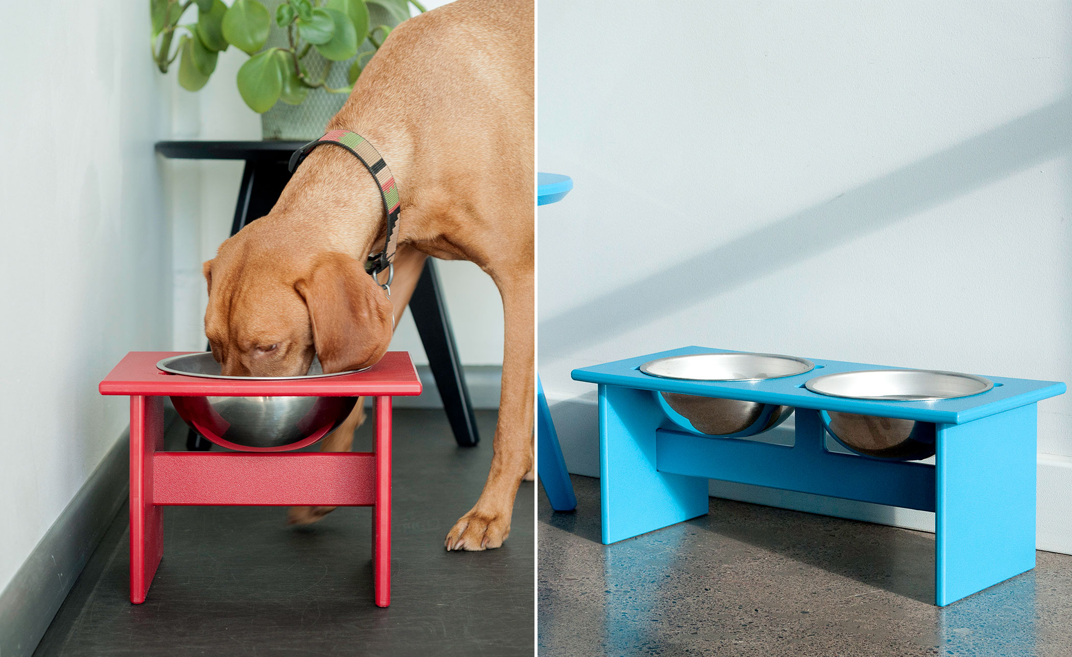 Minimalist Dog Bowl