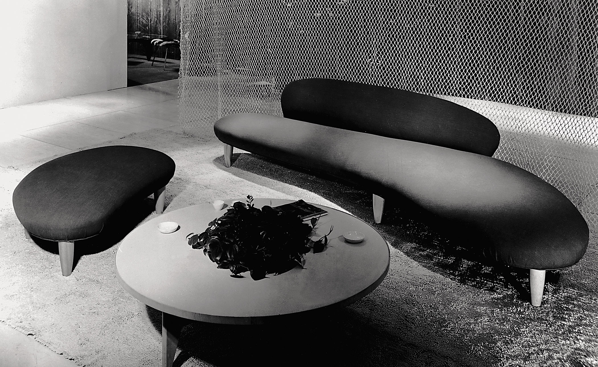 noguchi freeform sofa