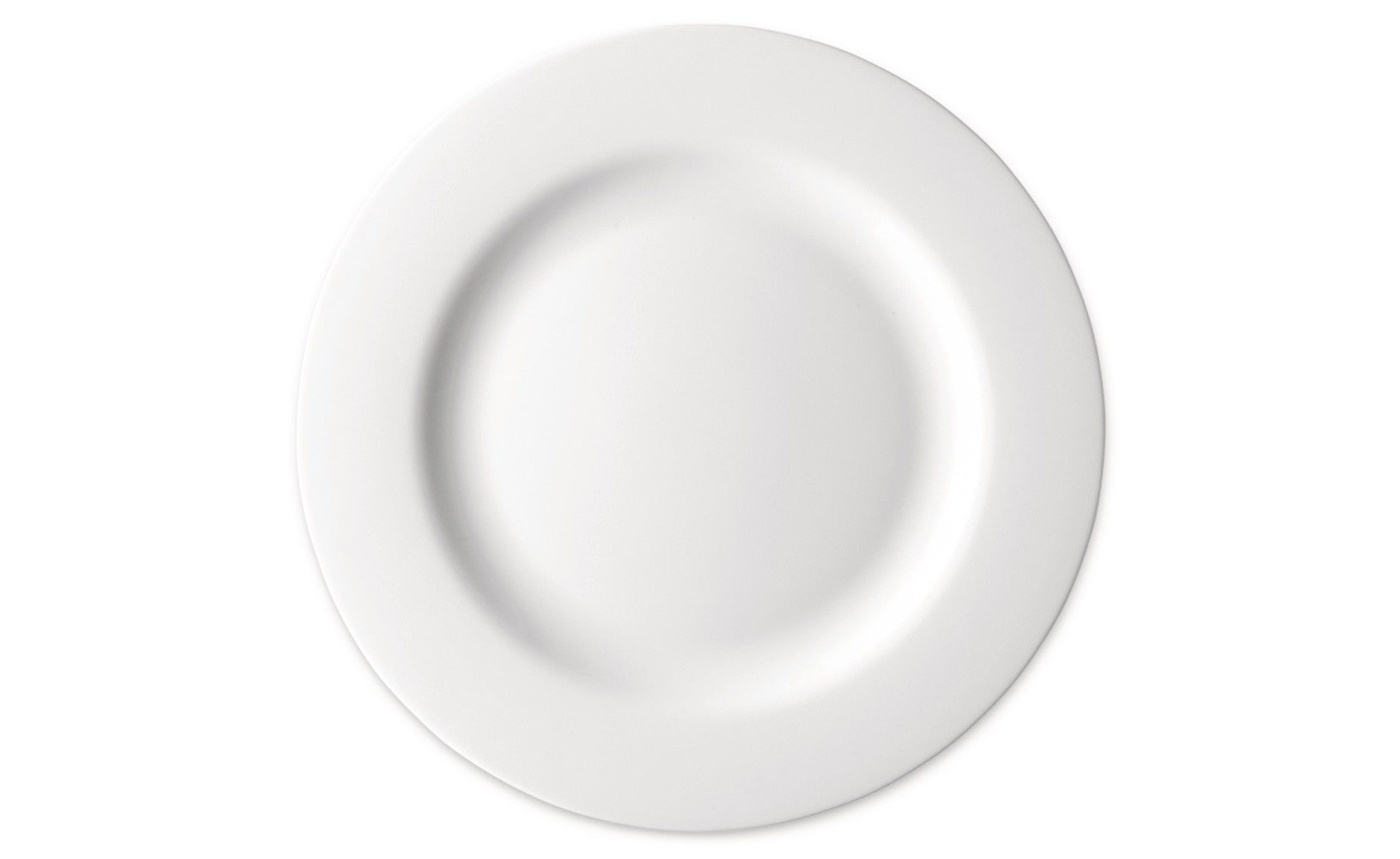 platebowlcup dinner plate set of 4
