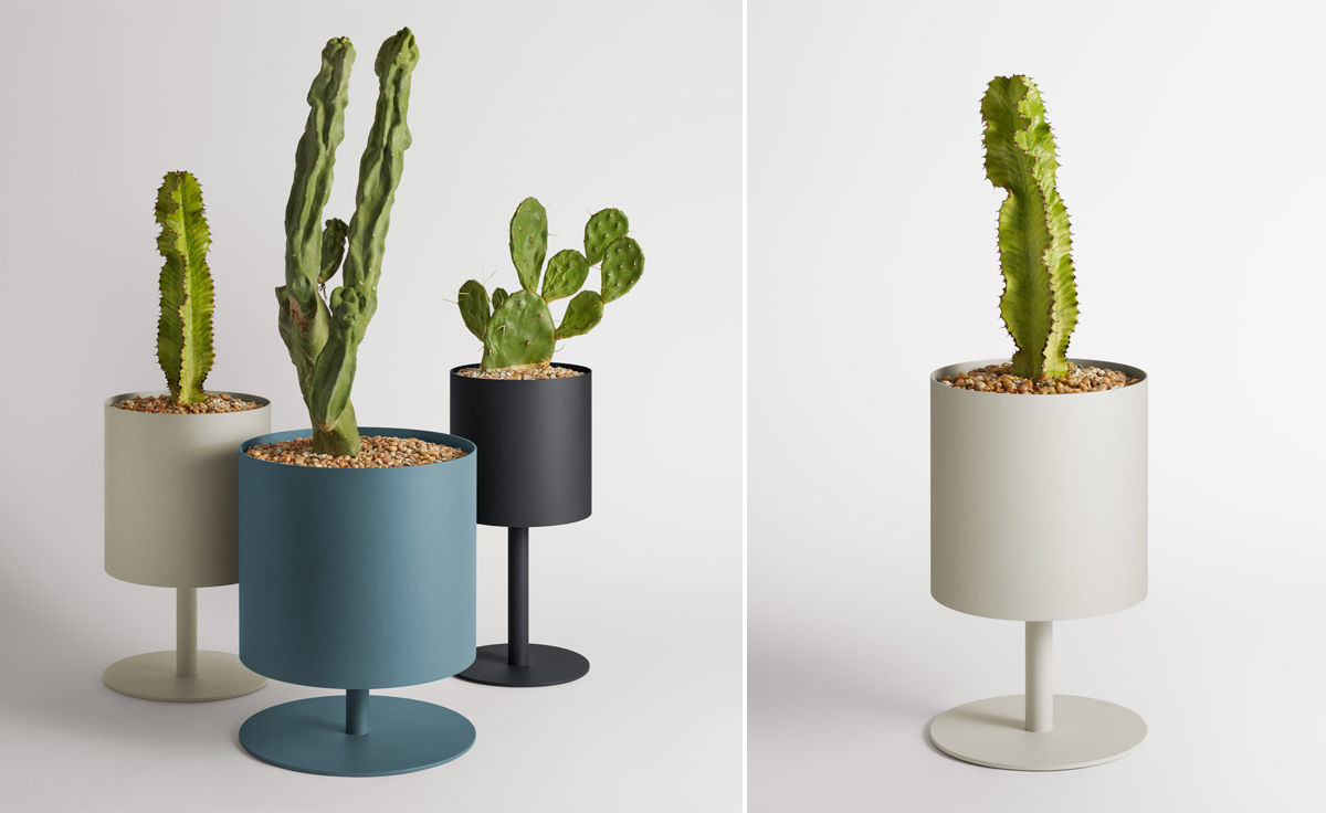 plot medium planter