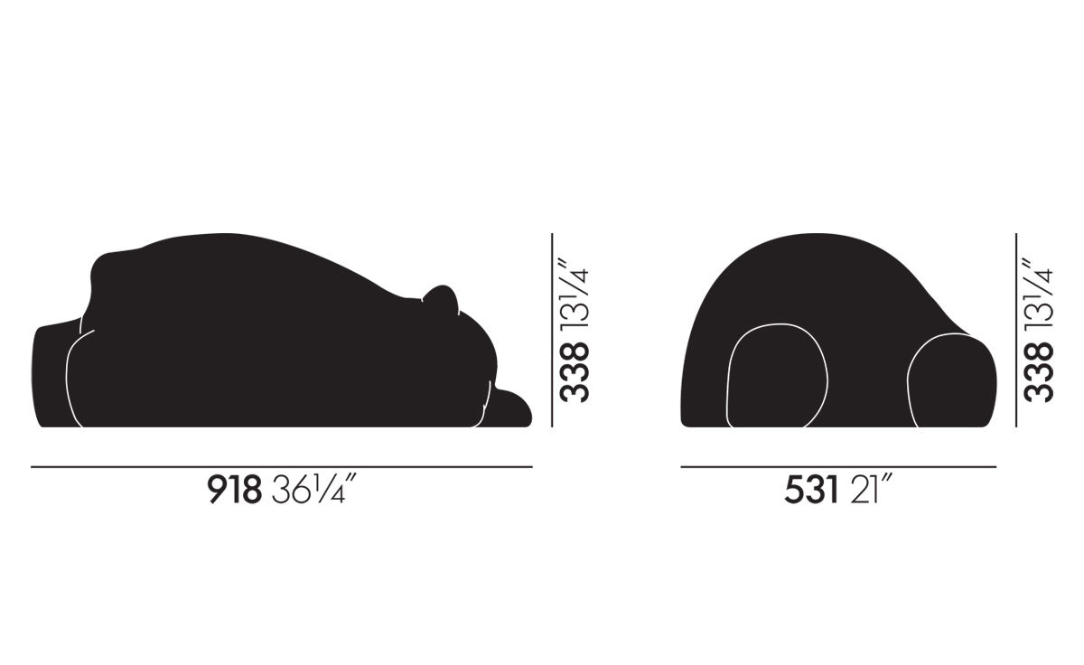 resting bear