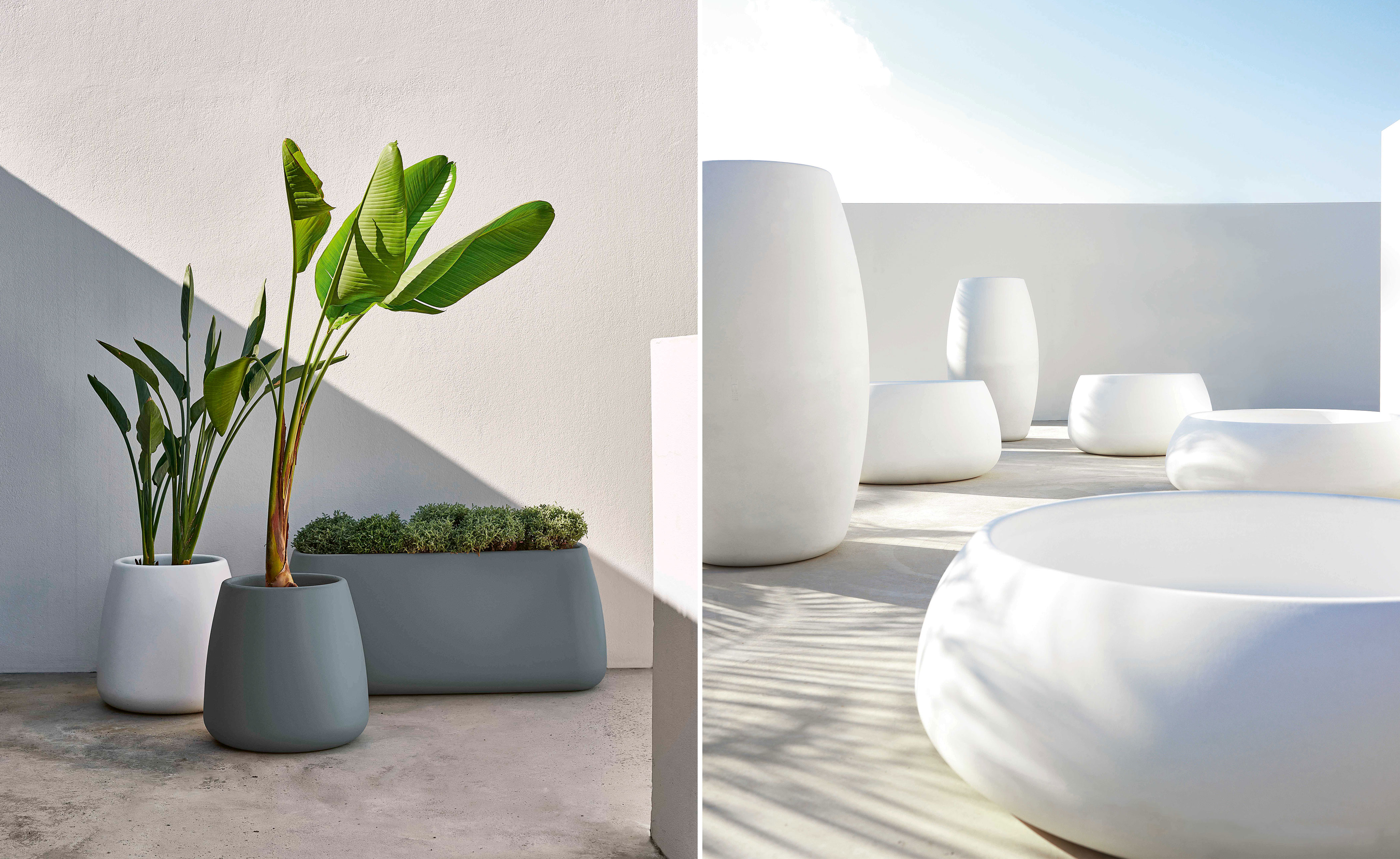 Sahara Planter 3