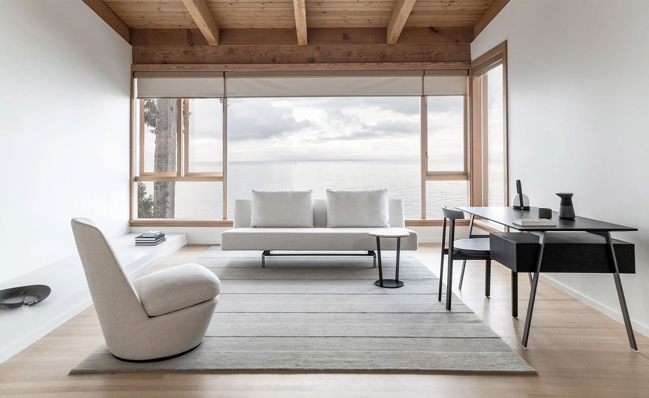 sleeper sofa with 2 cushions