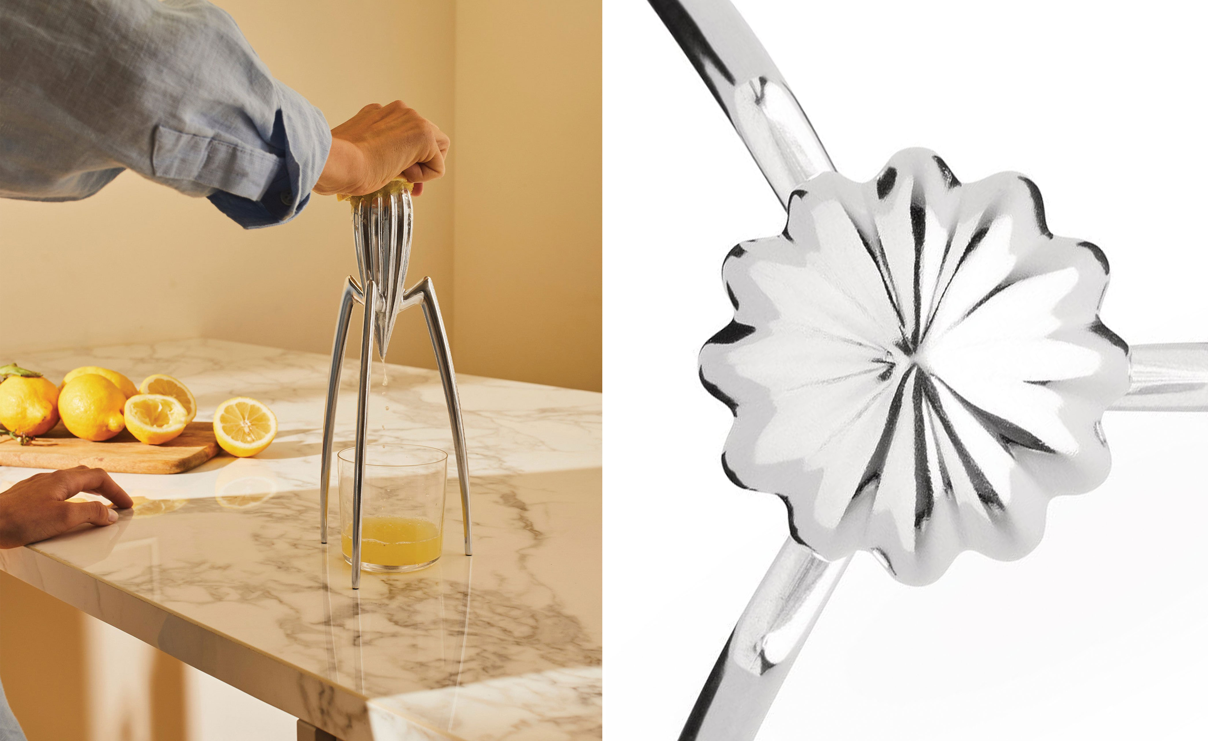 starck juicy salif