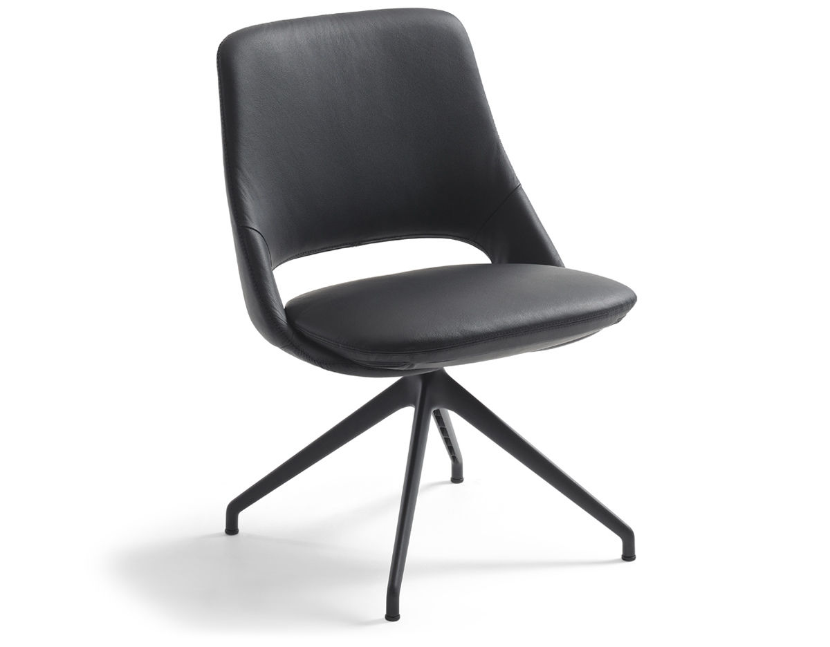 zuma low back chair
